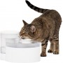PetSafe - Outlast™ 1.7 Litre Pumpless Pet Fountain