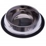 Stainless Steel Kitten Water Food Bowl