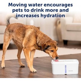 PetSafe - Viva Pet Fountain, 4.1 litre