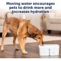 PetSafe - Viva Pet Fountain, 4.1 litre