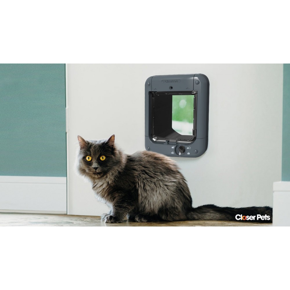 Photo inspiration: Fresh Look at Cat Mate Grey Microchip Cat Door