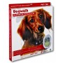 Dogwalk Glass Fitting Dog Door - Clear – G-DDC
