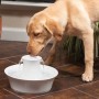 PetSafe Drinkwell Ceramic Avalon Pet Fountain – 2L Automatic Water Dispenser for Cats & Dogs