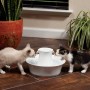 PetSafe Drinkwell Ceramic Avalon Pet Fountain – 2L Automatic Water Dispenser for Cats & Dogs