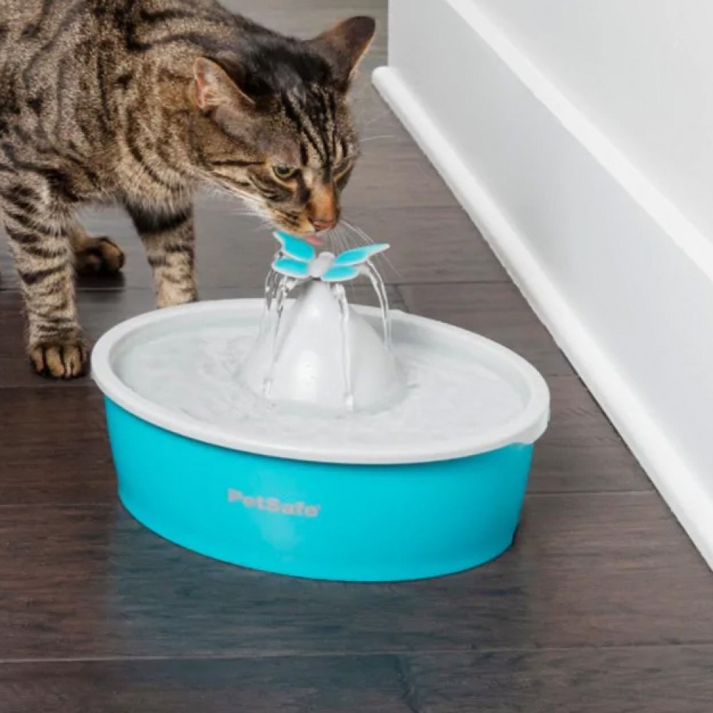 PetSafe Butterfly Cat and Small Dog Water Fountain