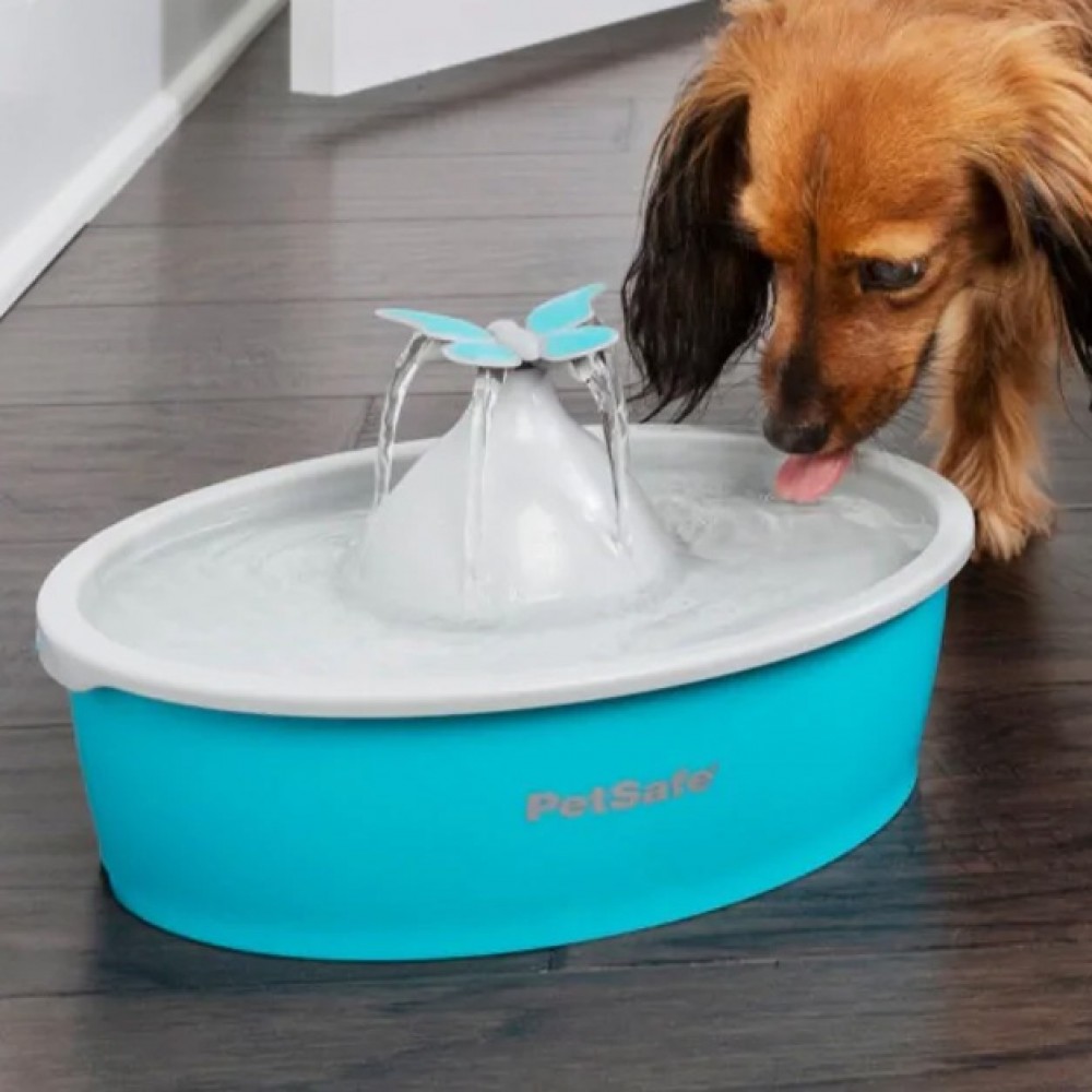 PetSafe Butterfly Cat and Small Dog Water Fountain