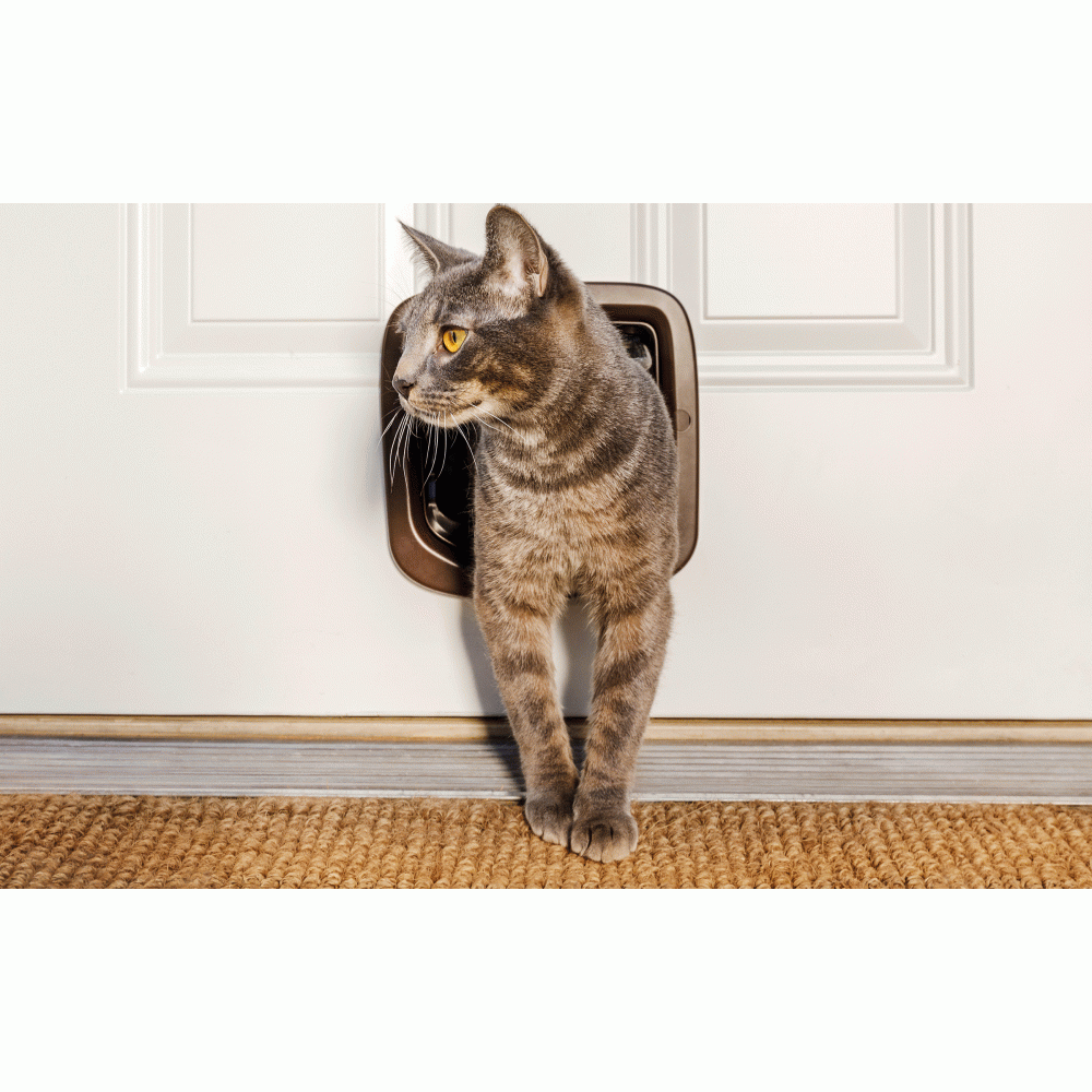 Staywell Cat Flap Brown 4 Way Locking PetSafe PPA1916731