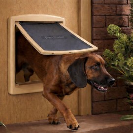 Large Dog Door - Irish Oak On White Ral 1011