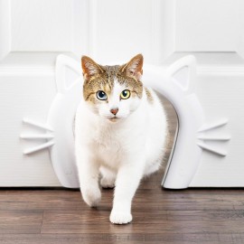 Cat Corridor Cat Hole For Interior Door