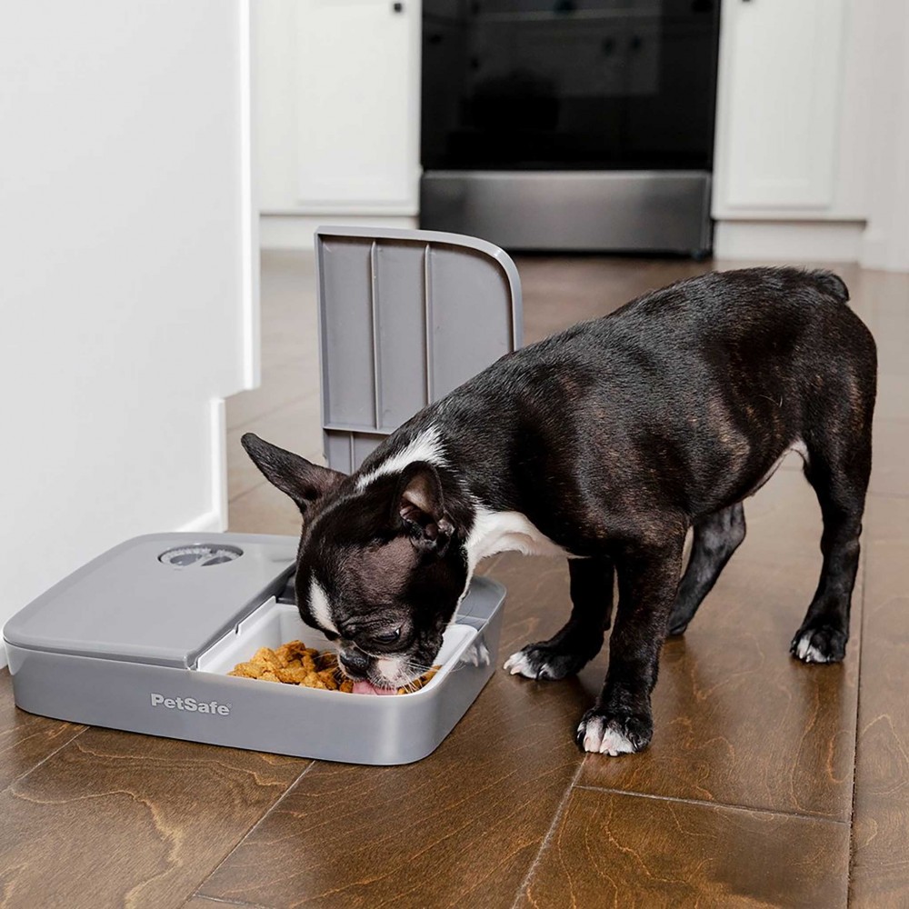 Petsafe 2 meal Automatic Pet Feeder for cats and dogs