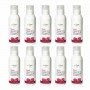 Isle of Dogs - Everyday NaturaLuxury – Deep Cleaning Dog Shampoo (10 x 60ml Bottles)