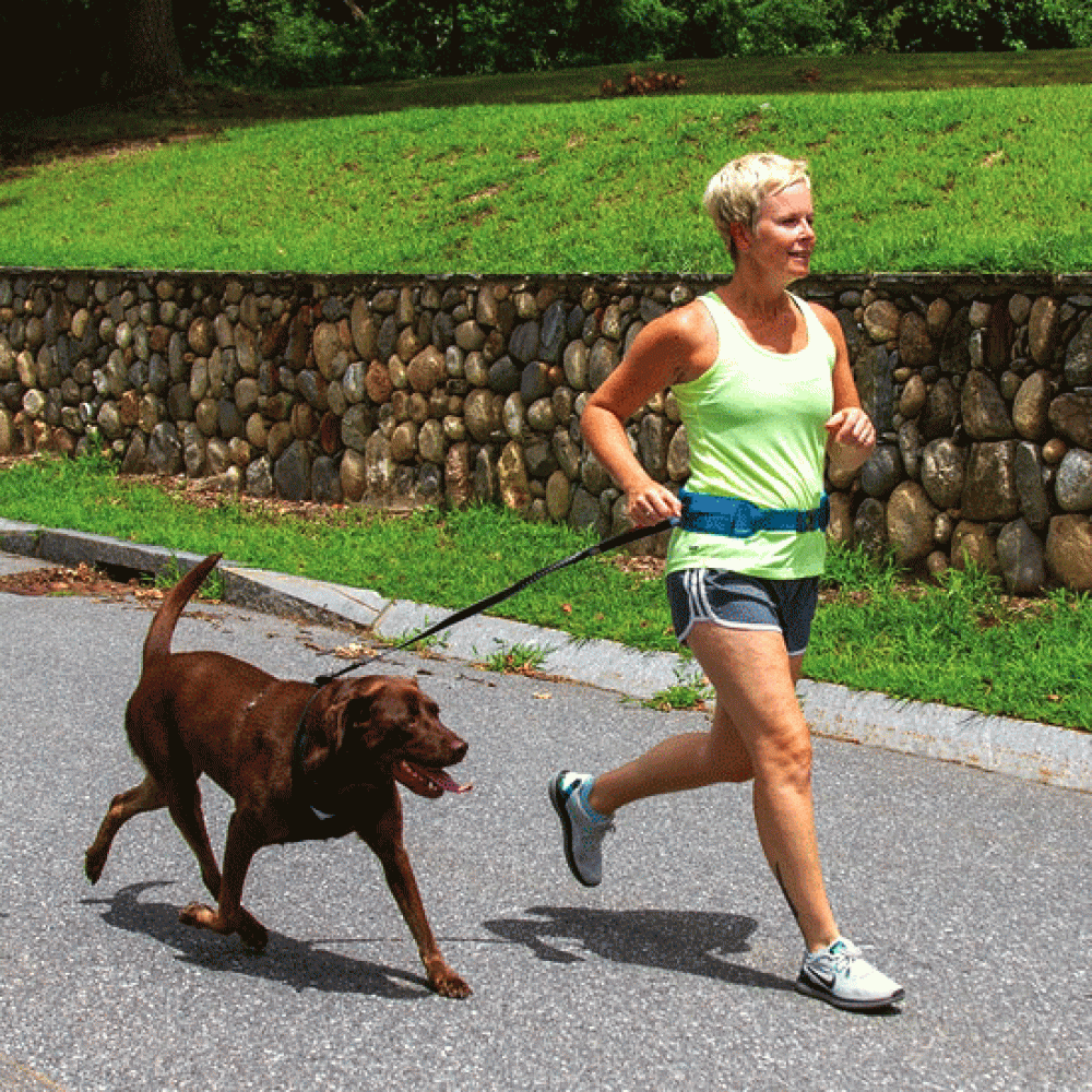 Dog Walking Multi Purpose Utility Belt