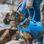 Kurgo RSG Dog Collar Small