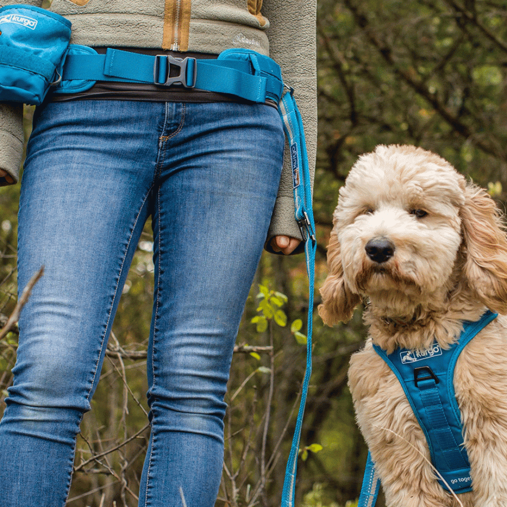 RSG Stub Leash A Kurgo Dog Lead Designed For Running