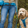 Kurgo RSG Stub Leash