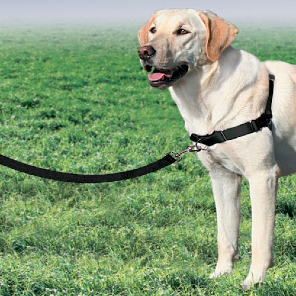 Easy Walk Large Dog Harness - Large - Black