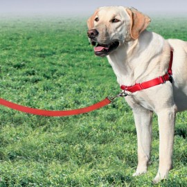 Easy Walk Dog Harness - Large - Red