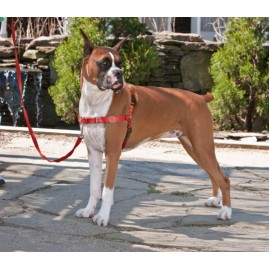 Easy Walk Dog Harness - Medium-Large - Red