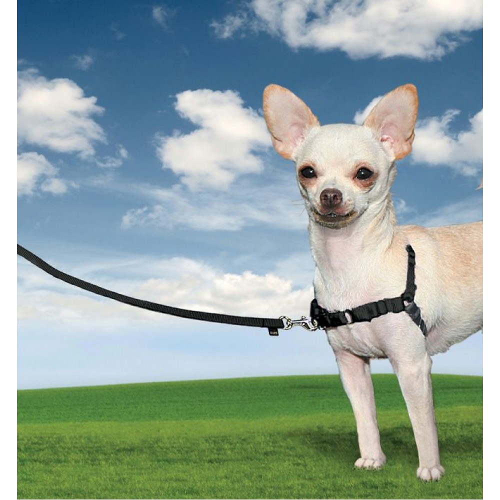Easy Walk Small Dog Harness - Extra Small - Black