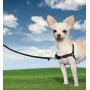 Easy Walk Small Dog Harness - Extra Small - Black