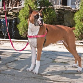 Easy Walk Dog Harness - Medium Large - Raspberry Pink