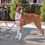 Easy Walk Dog Harness - Medium - Raspberry Pink