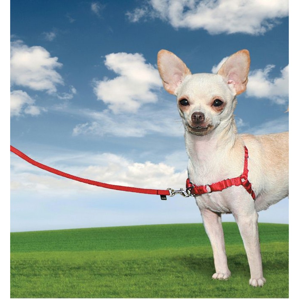 Easy Walk Small Dog Harness - Extra Small - Red