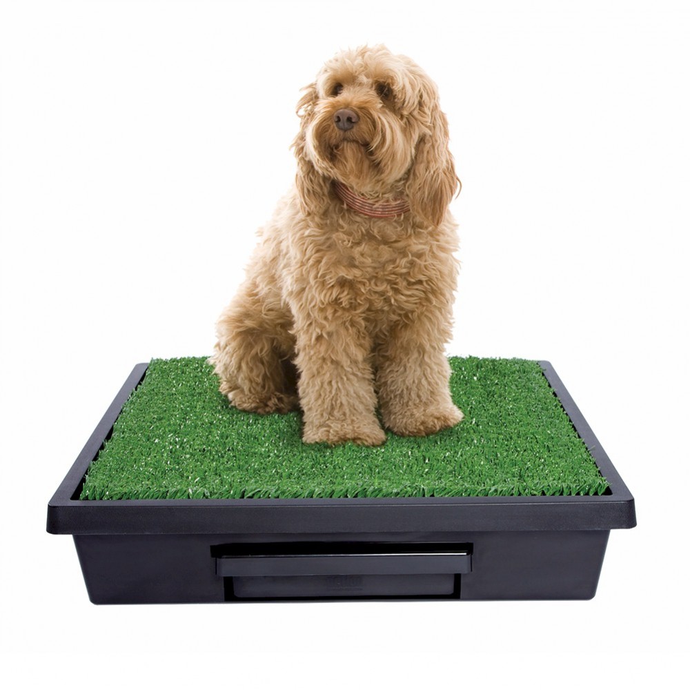 Pet Loo™ Portable Pet Dog Indoor Toilet - Medium
