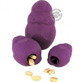 PetSafe Squirrel Dude - Small Dog Toy - BB-SQRL-S-11