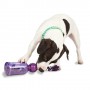 NONE Tug-A-Jug - Large Dog Toy