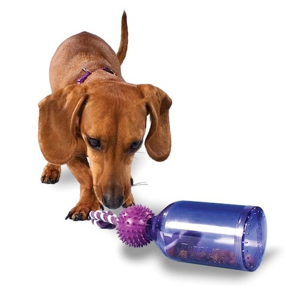 Tug A Jug X Small Dog Toy PetSafe