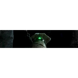 SportDog® Dog Collar LED Light - Locator Beacon - BLUE - SDLB-BLE