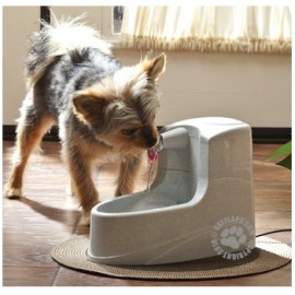 Drinkwell Mini Cat and Small Dog Water Fountain