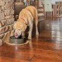Drinkwell Current Pet Fountain - Large 3.5L