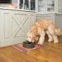 Drinkwell Current Pet Fountain - Large 3.5L