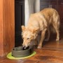 Drinkwell Current Pet Fountain - Medium 2.4L