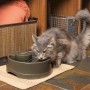 Drinkwell Current Pet Fountain - Medium 2.4L