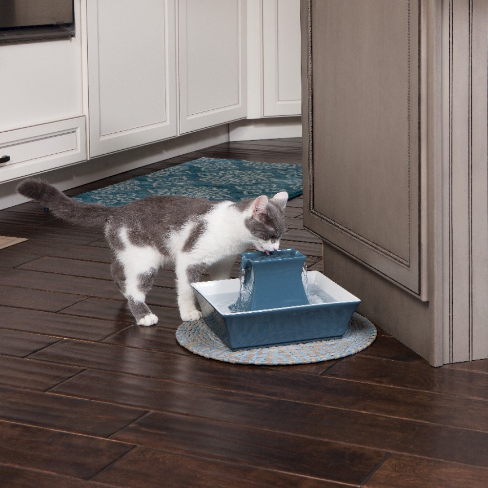 PetSafe Drinkwell Pagoda Pet Fountain Blue