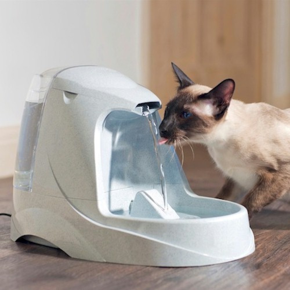 Drinkwell Platinum Dog Water Fountain