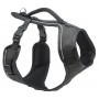 EasySport™ Dog Harness - Small - Black