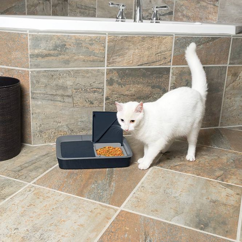 Dog and Cat Feeder Automatic Timed Feeding Two Meal PetSafe