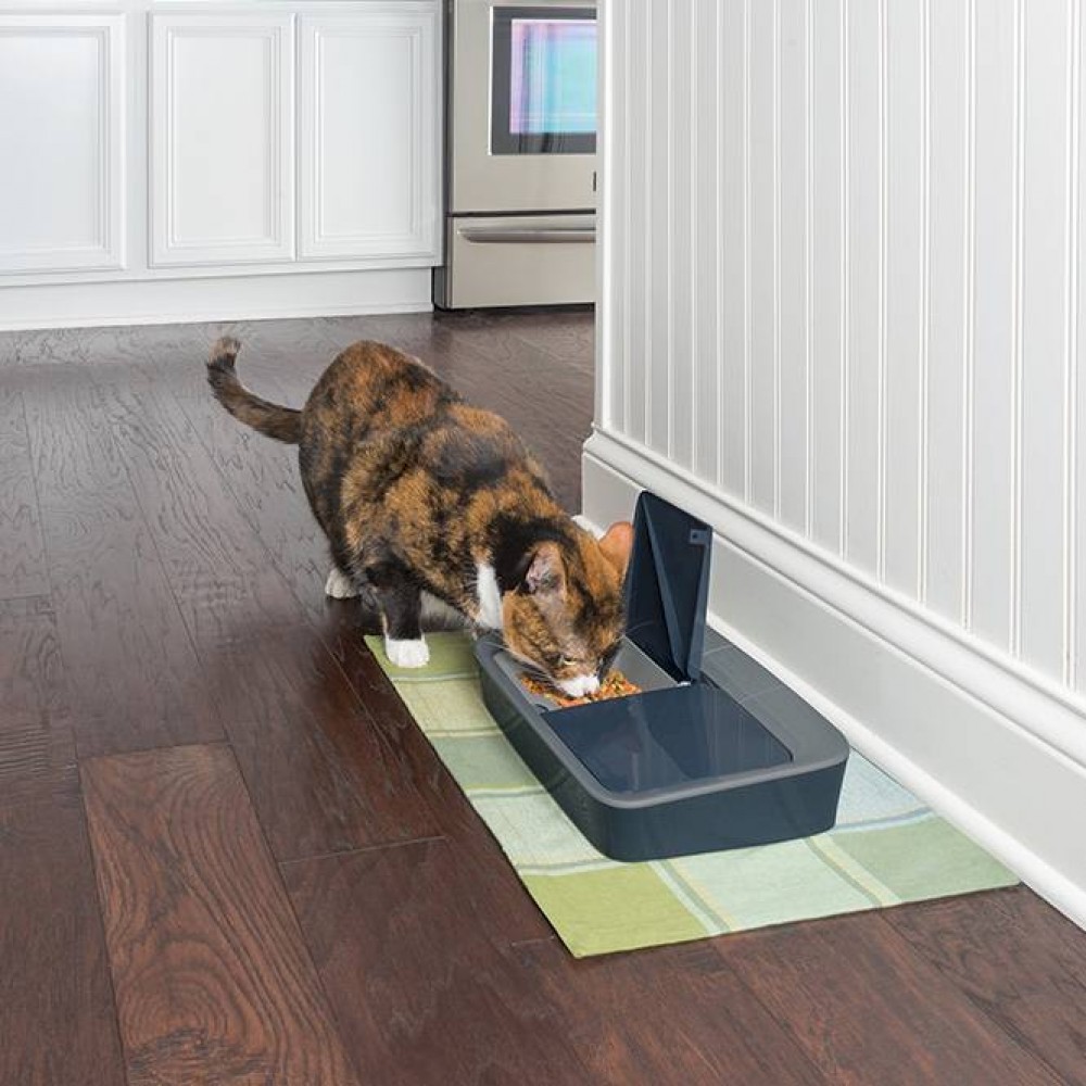 Dog and Cat Feeder Automatic Timed Feeding Two Meal PetSafe
