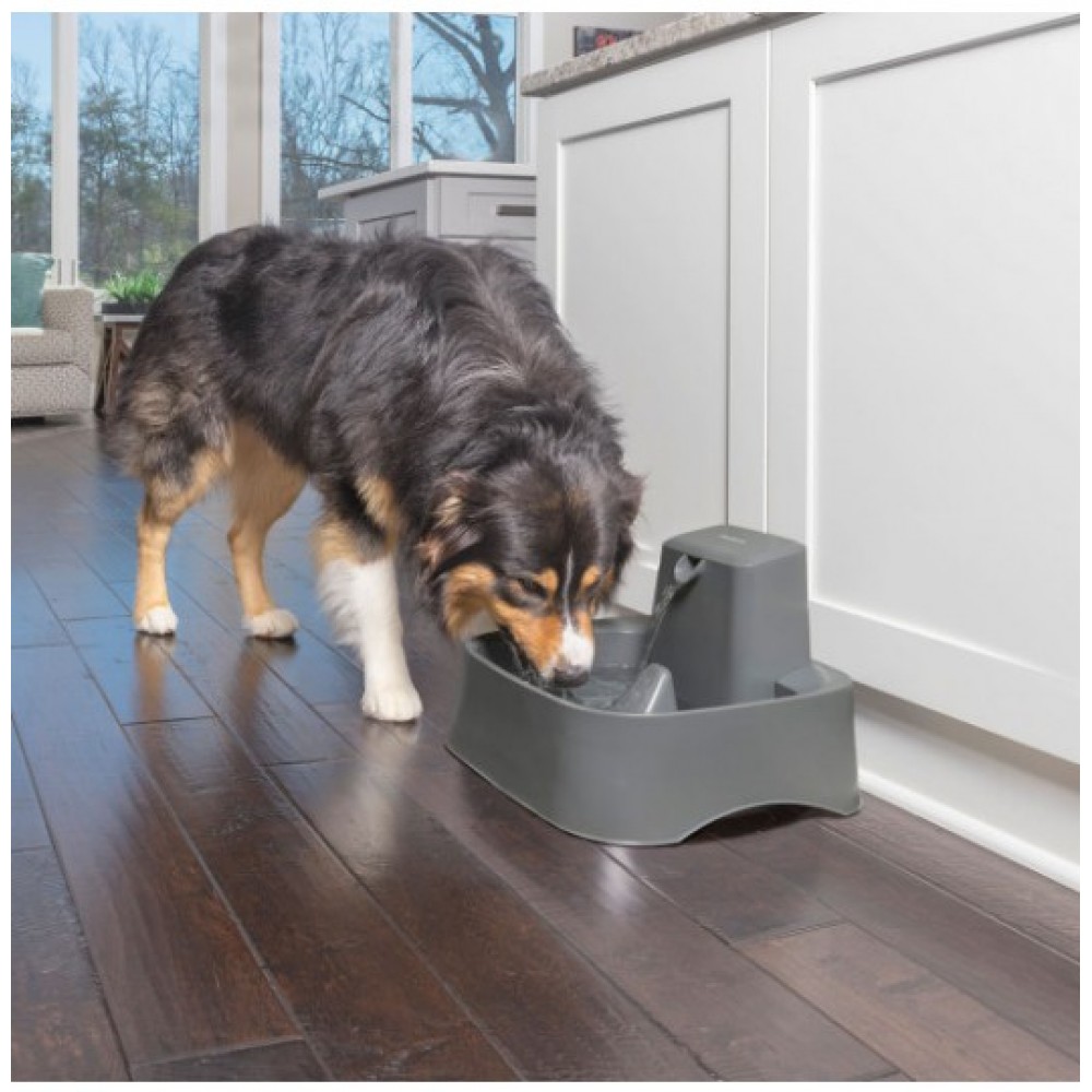 Drinkwell Big Dog Water Fountain PWW1716561