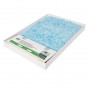 ScoopFree™ Replacement Blue Crystal Litter Tray (1-Pack) – Disposable, Odour-Control, Leak-Proof Cat Litter