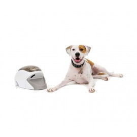 PetSafe Treat and Train Remote Dog Trainer