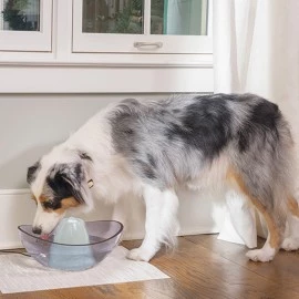 PetSafe Drinkwell Sedona 3L Ceramic Pet Fountain – Ultra-Quiet, Flowing Water Dispenser for Cats & Dogs