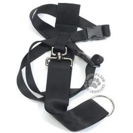 Car Harnesses