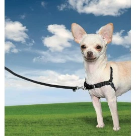 Easy Walk Small Dog Harness - Extra Small - Black