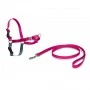 Easy Walk Dog Harness - Medium - Raspberry Pink