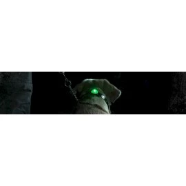 SportDog® Dog Collar LED Light - Locator Beacon - Amber - SDLB-YL-E